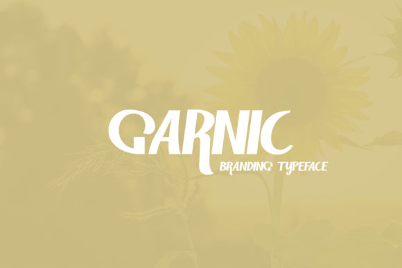 Garnic Font Review: A Cool Display Typeface for Designers