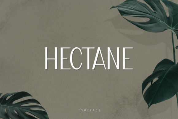 Hectane: A Clean Modern Display Font for Branding