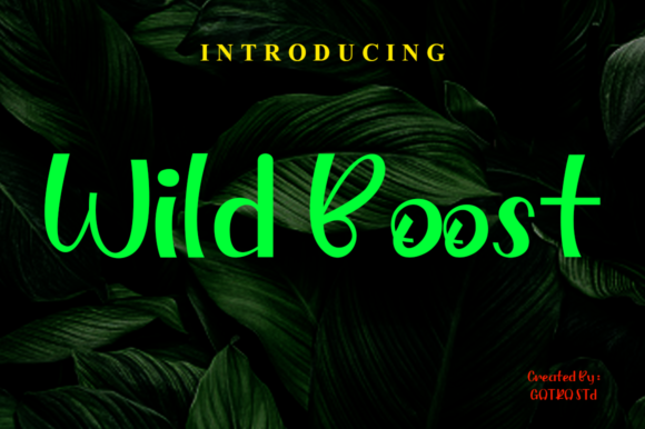 Wild Boost: A Playful Display Font That Feels Authentic
